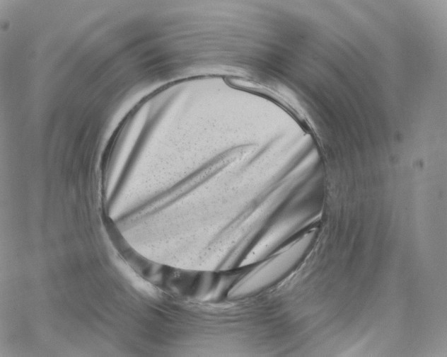 X0000065261140200603131156