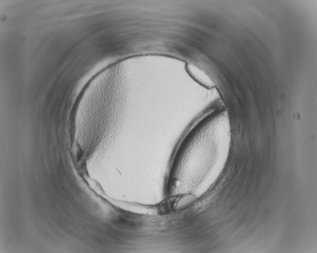 X0000065261142200603131156