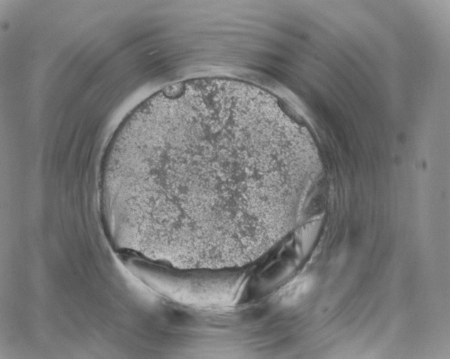 X0000065261143200603131156