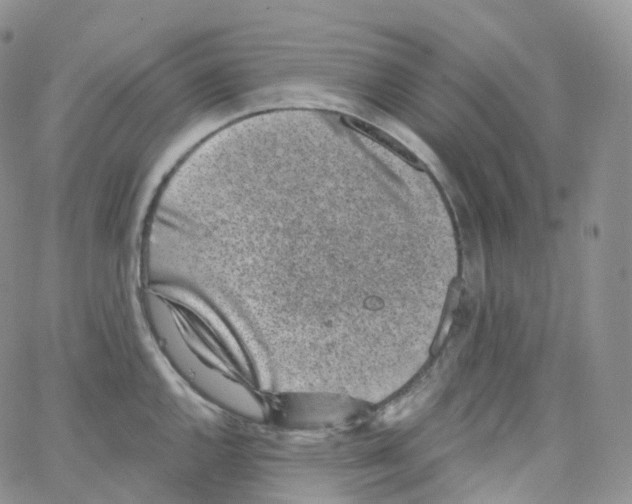 X0000065261144200603131156