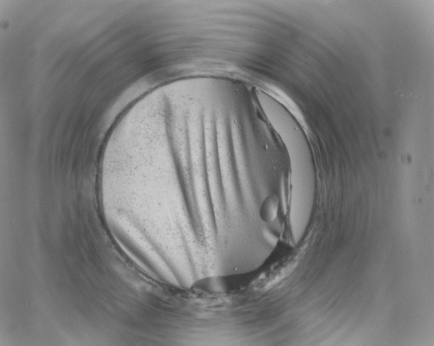 X0000065261146200603131156