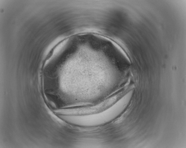 X0000065261151200603131156