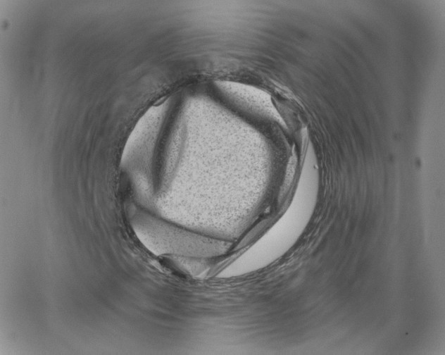 X0000065261153200603131155