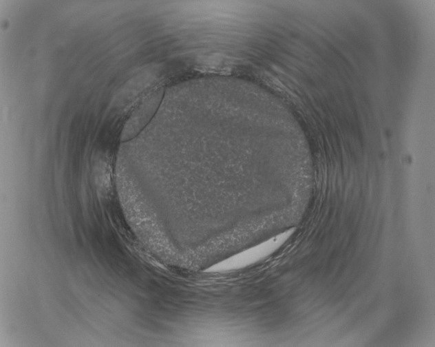 X0000065261154200603131155