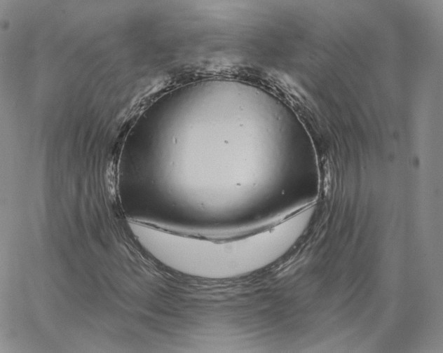 X0000065261156200603131155