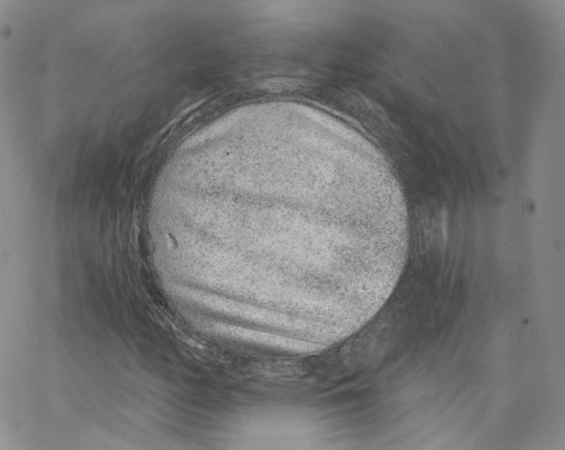 X0000065261158200603131155