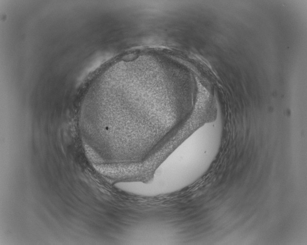 X0000065261159200603131155