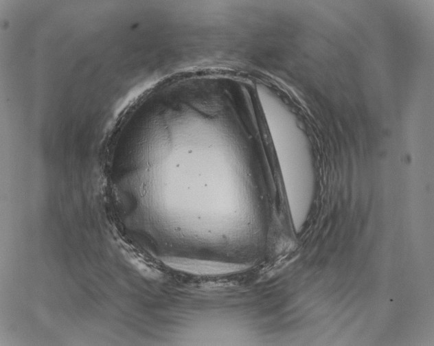 X0000065261160200603131155