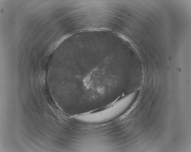 X0000065261161200603131155