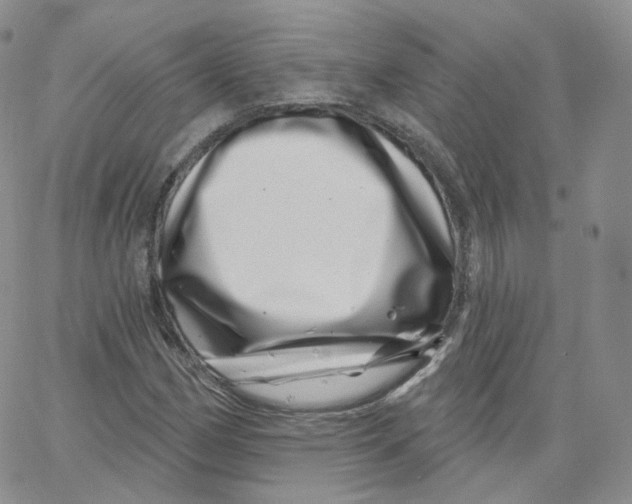 X0000065261162200603131155