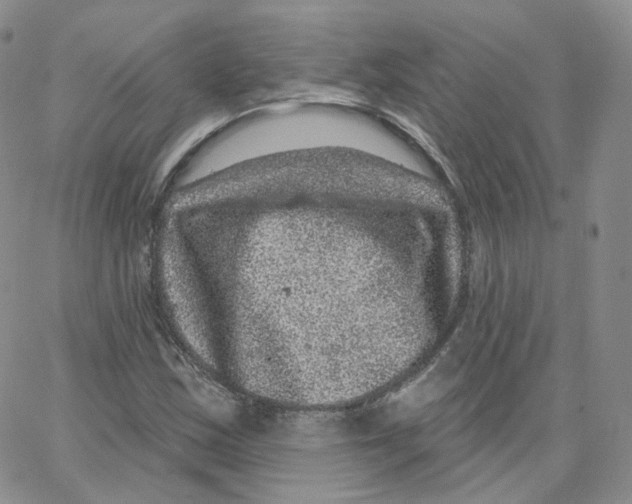 X0000065261163200603131155