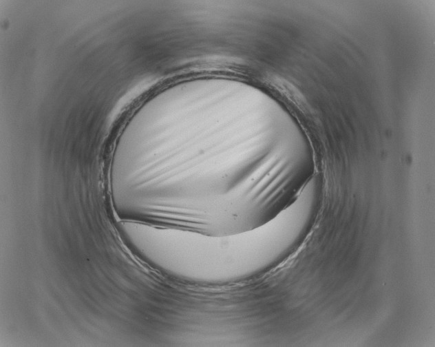 X0000065261164200603131155