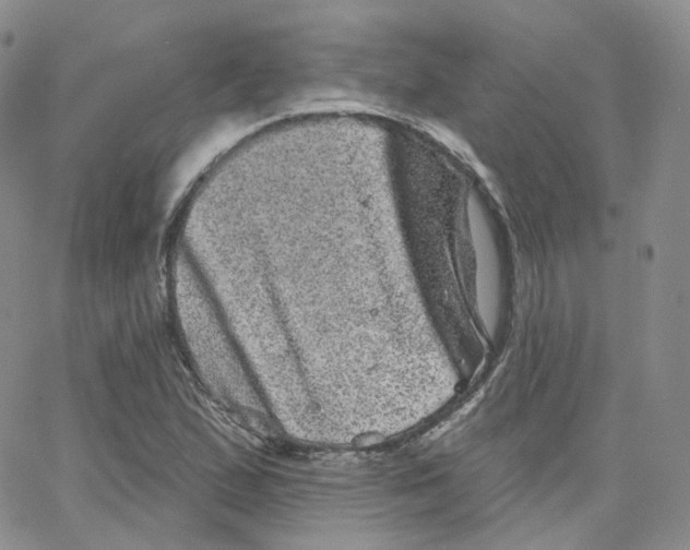 X0000065261167200603131155