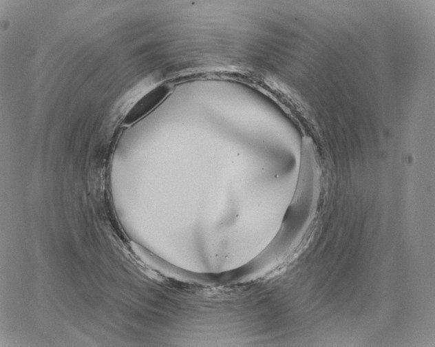 X0000065261169200603131155