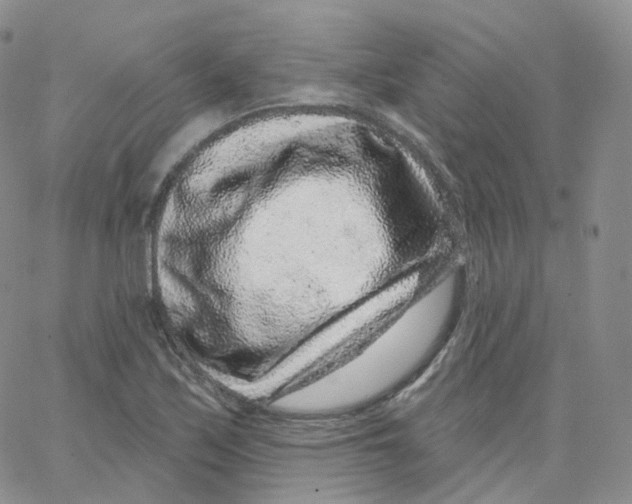 X0000065261171200603131155