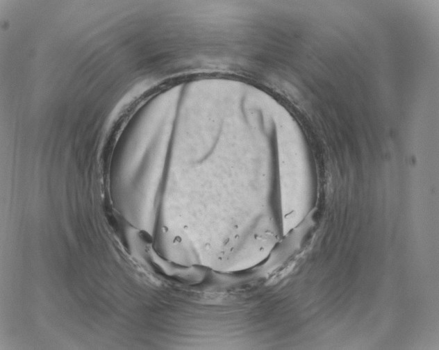 X0000065261172200603131155