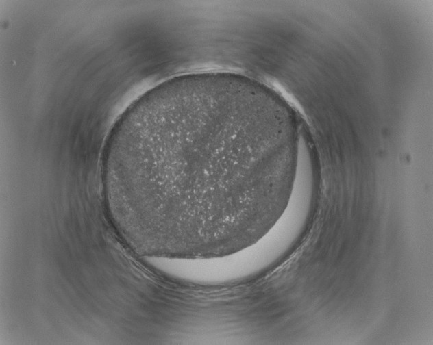 X0000065261173200603131155