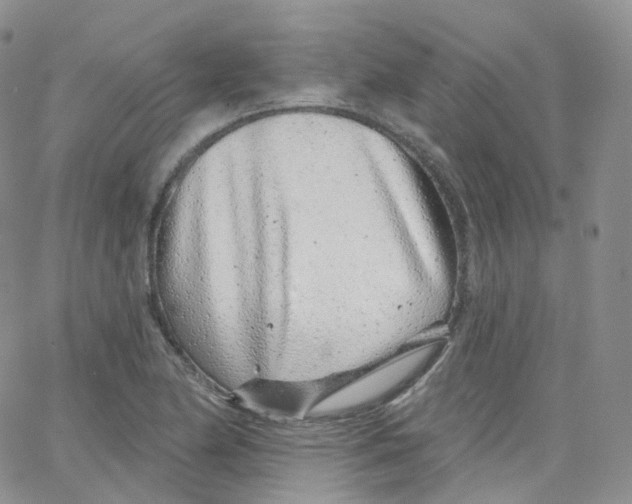 X0000065261174200603131155