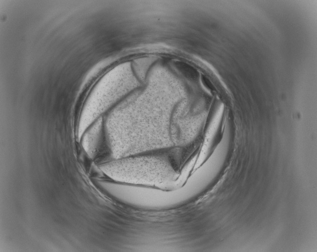 X0000065261176200603131155