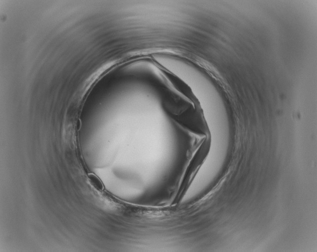 X0000065261177200603131155