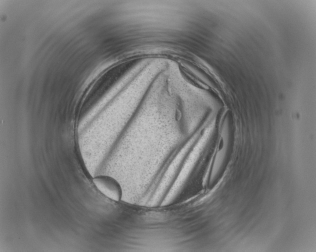 X0000065261178200603131155