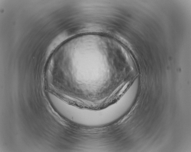 X0000065261179200603131155