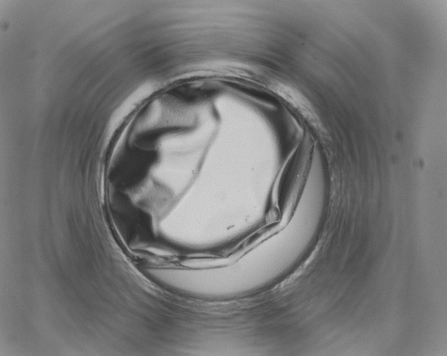 X0000065261180200603131155