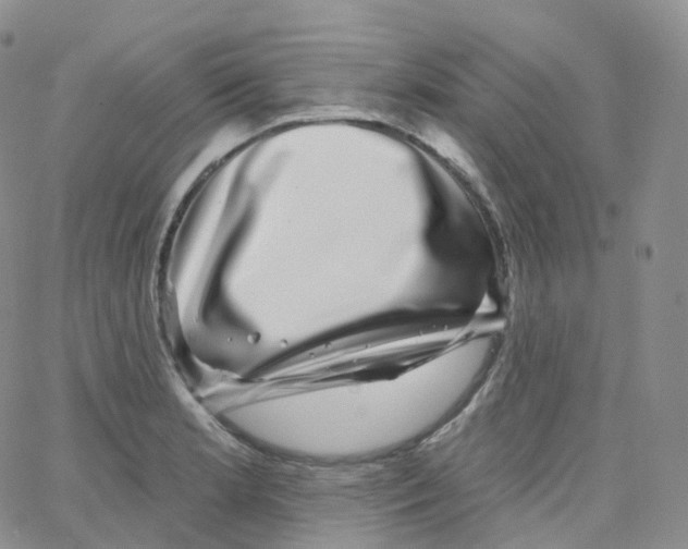 X0000065261181200603131155