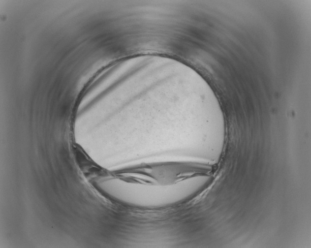 X0000065261182200603131155