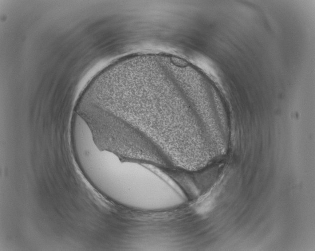 X0000065261183200603131155