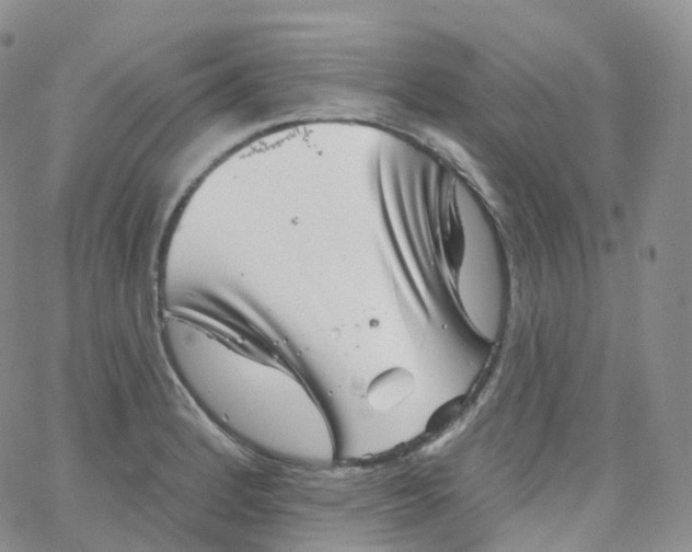 X0000065261184200603131155