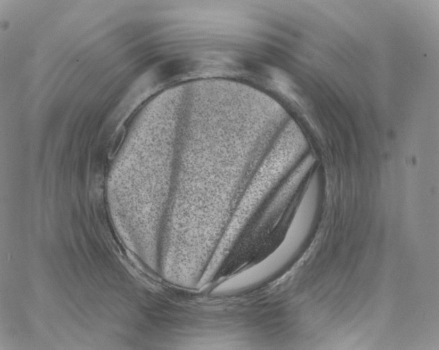 X0000065261185200603131155