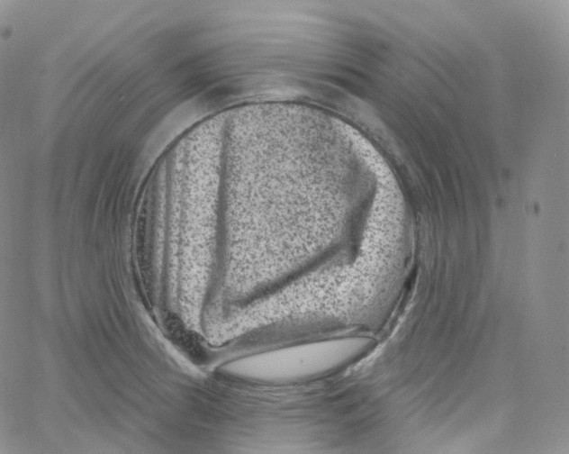 X0000065261186200603131155