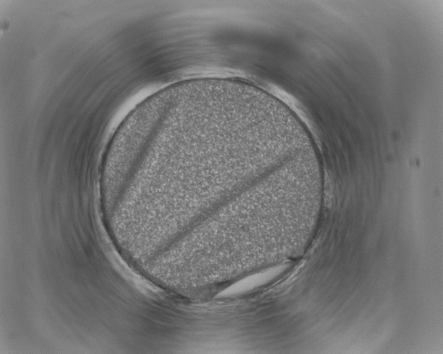 X0000065261187200603131155