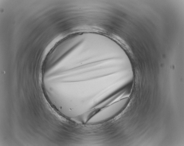 X0000065261188200603131155