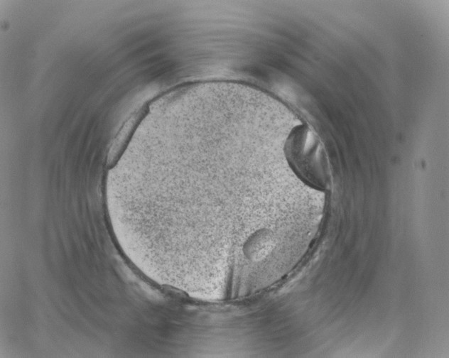 X0000065261189200603131155