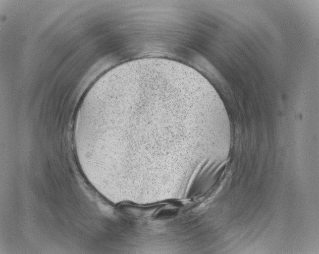 X0000065261190200603131155