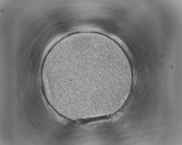 X0000065261191200603131155