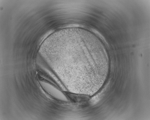 X0000065261193200603131155