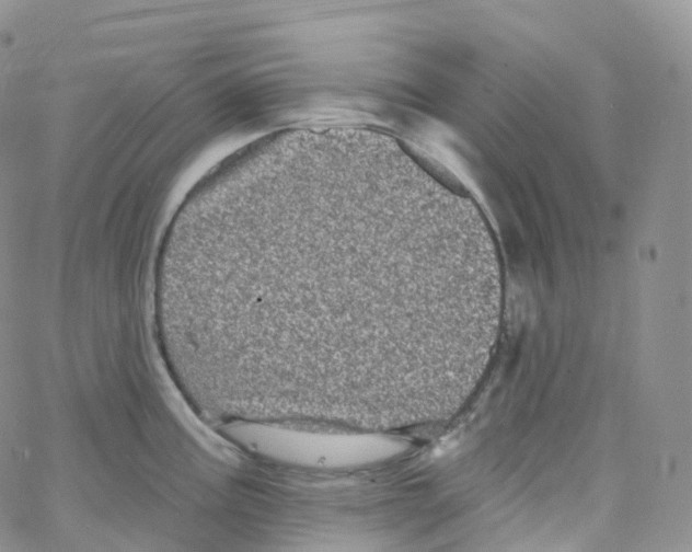 X0000065261195200603131155