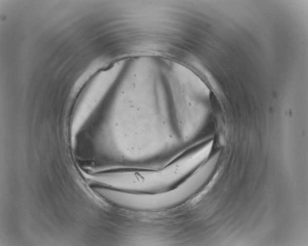 X0000065261196200603131155