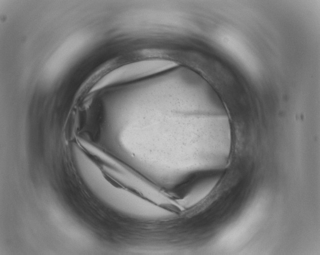 X0000065261198200603131154