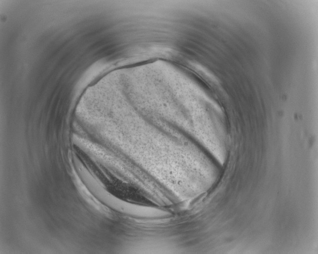 X0000065261200200603131154