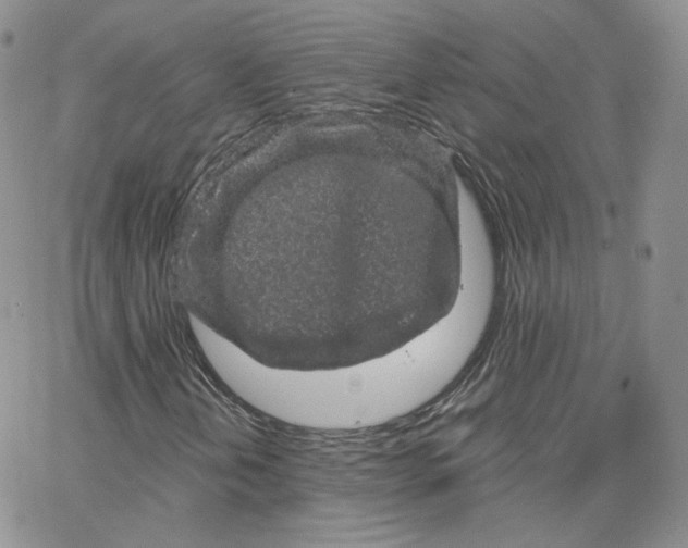 X0000065261202200603131154