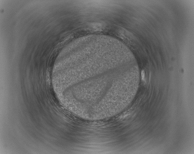 X0000065261203200603131154