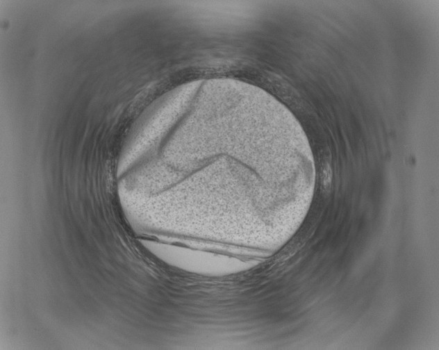 X0000065261204200603131154