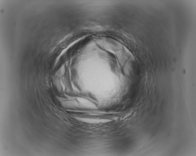 X0000065261205200603131154