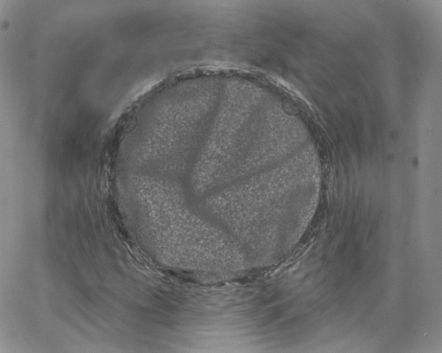 X0000065261207200603131154