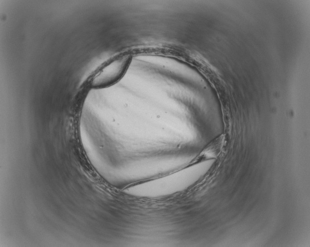 X0000065261208200603131154