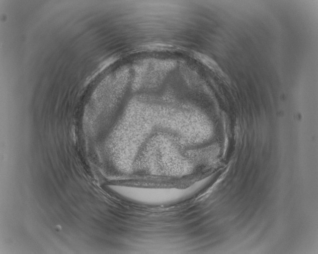 X0000065261209200603131154